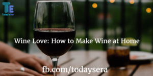 How to Make Wine at Home