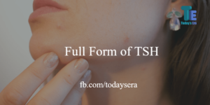 TSH full form