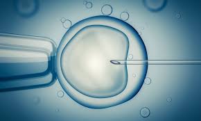 IVF