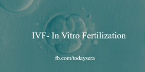 IVF full form