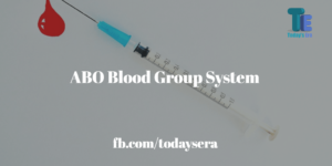 ABO Blood Group System_1